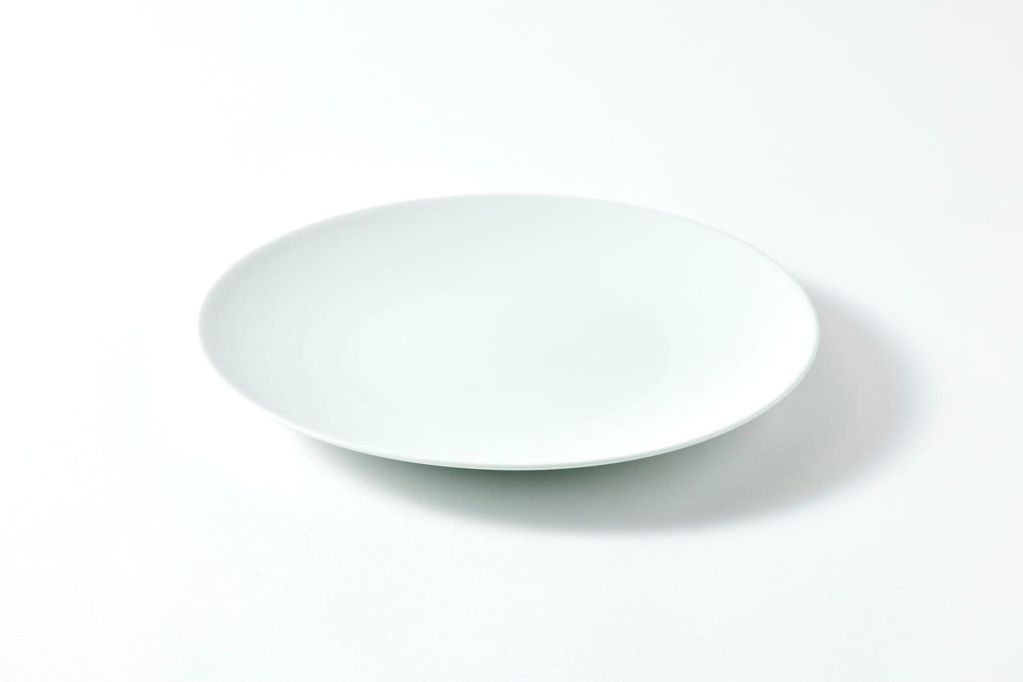 Flat Plate (L) - Snow