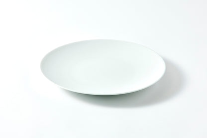 Flat Plate (L) - Snow