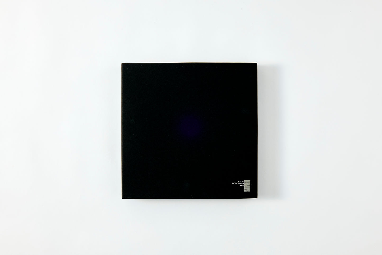 Flat Plate (M) - Snow