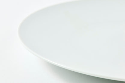 Flat Plate (M) - Snow
