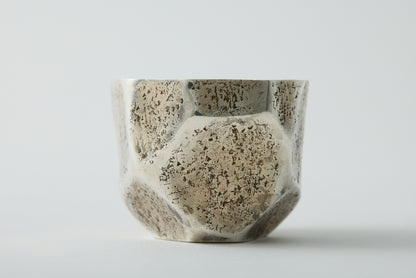 Pure Silver/Gold Bamboo-Shaped Sake Pitcher and Cup Set