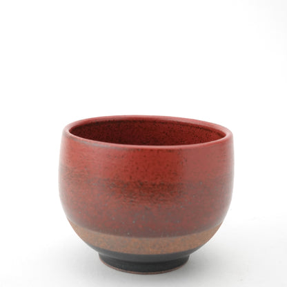 FD Akatsuki Sencha Teacup & Saucer Hasami Porcelain