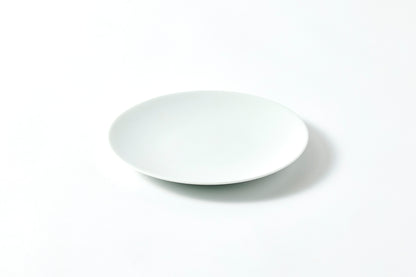 Flat Plate (S) - Snow