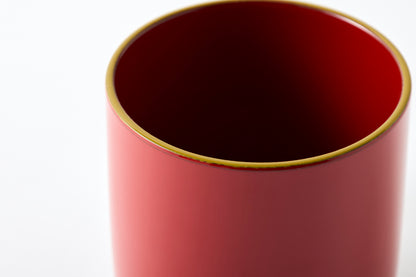 IROIRO Cup