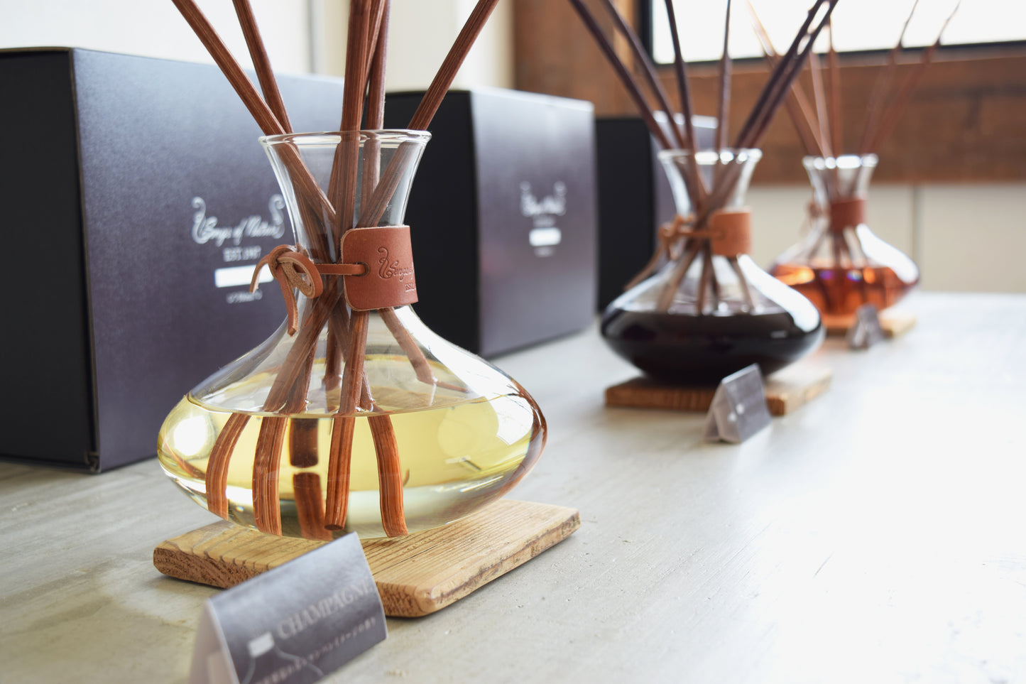Carafe Diffuser <with Dedicated Diffuser Reeds> Champagne