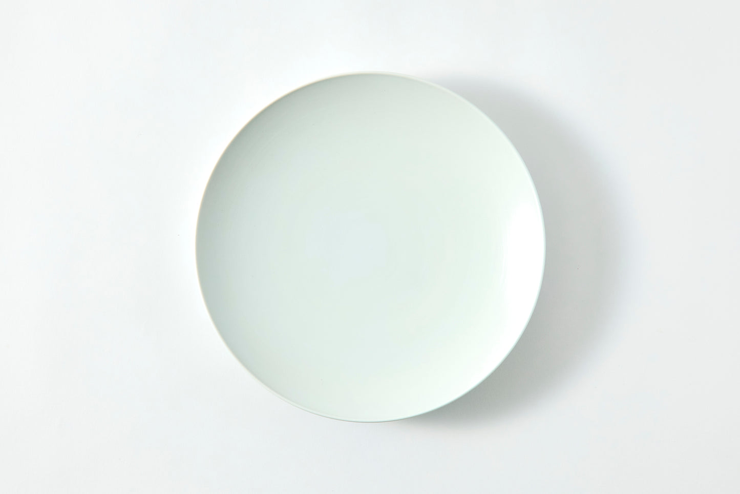 Flat Plate (Large) 270mm - Snow