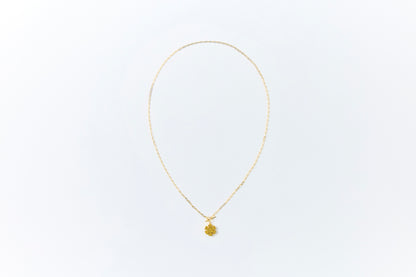 HAKUCESSORY Necklace Health Luck Gold