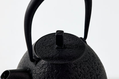 Nanbu Ironware Egg Teapot  Large *Limited Edition
