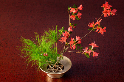 Pin-less Flower Frog ® / Flower garden