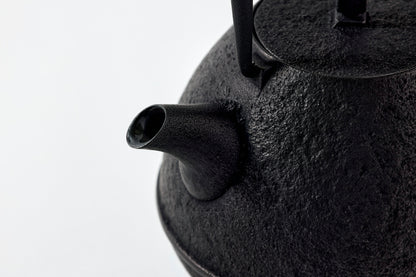 Nanbu Ironware Egg Teapot  Large *Limited Edition