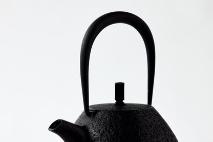 Nanbu Ironware Egg Teapot  Large *Limited Edition