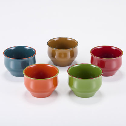 IROIRO Sake Cup