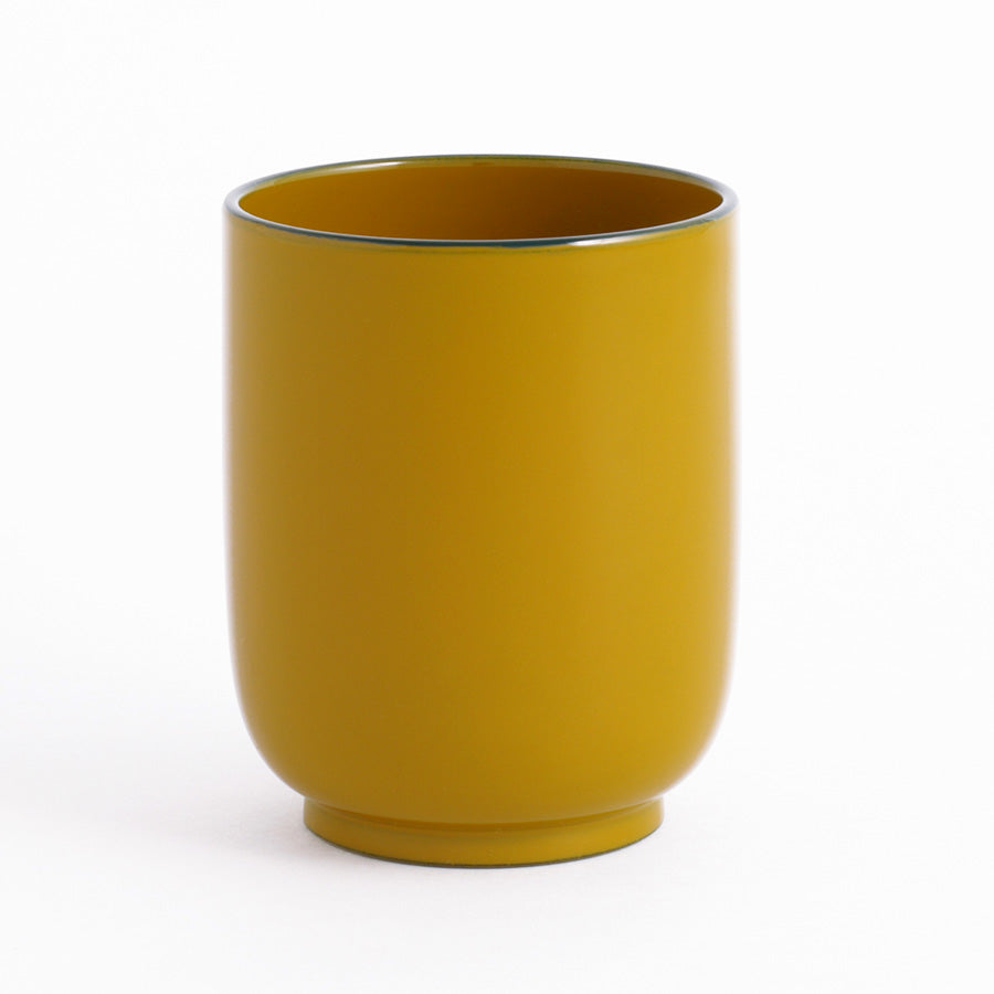 IROIRO Cup