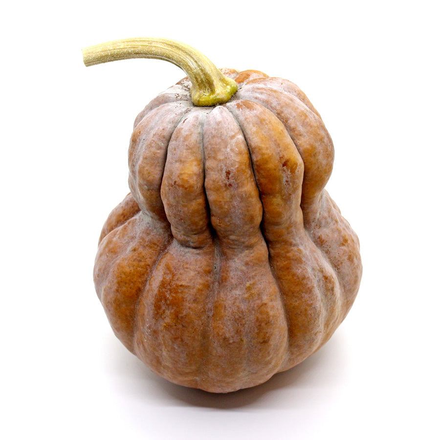 KYONONA Bowl (Shishigatani Pumpkin)